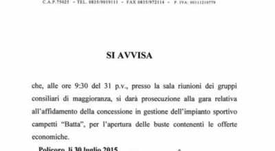 Prosecuzione gara affidamento campetti “Batta”