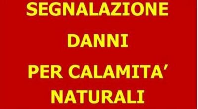 Regione Basilicata – Procedura per segnalazione danni per grandinata del 02 luglio 2024